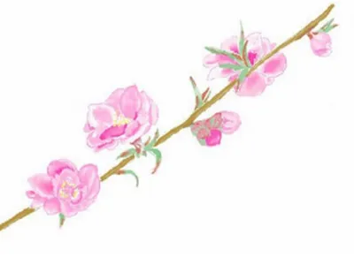 令和8年3月 弥生の便り