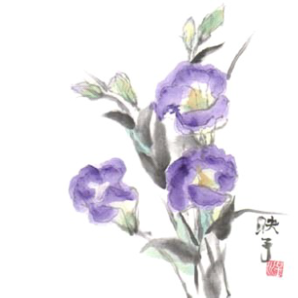 令和6年5月 皐月の便り